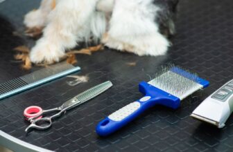 What Are the Best Types of Grooming Tools for Different Dog Coats?