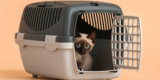 How Do You Choose the Right Cat Carrier for Travel?