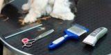 What Are the Best Types of Grooming Tools for Different Dog Coats?